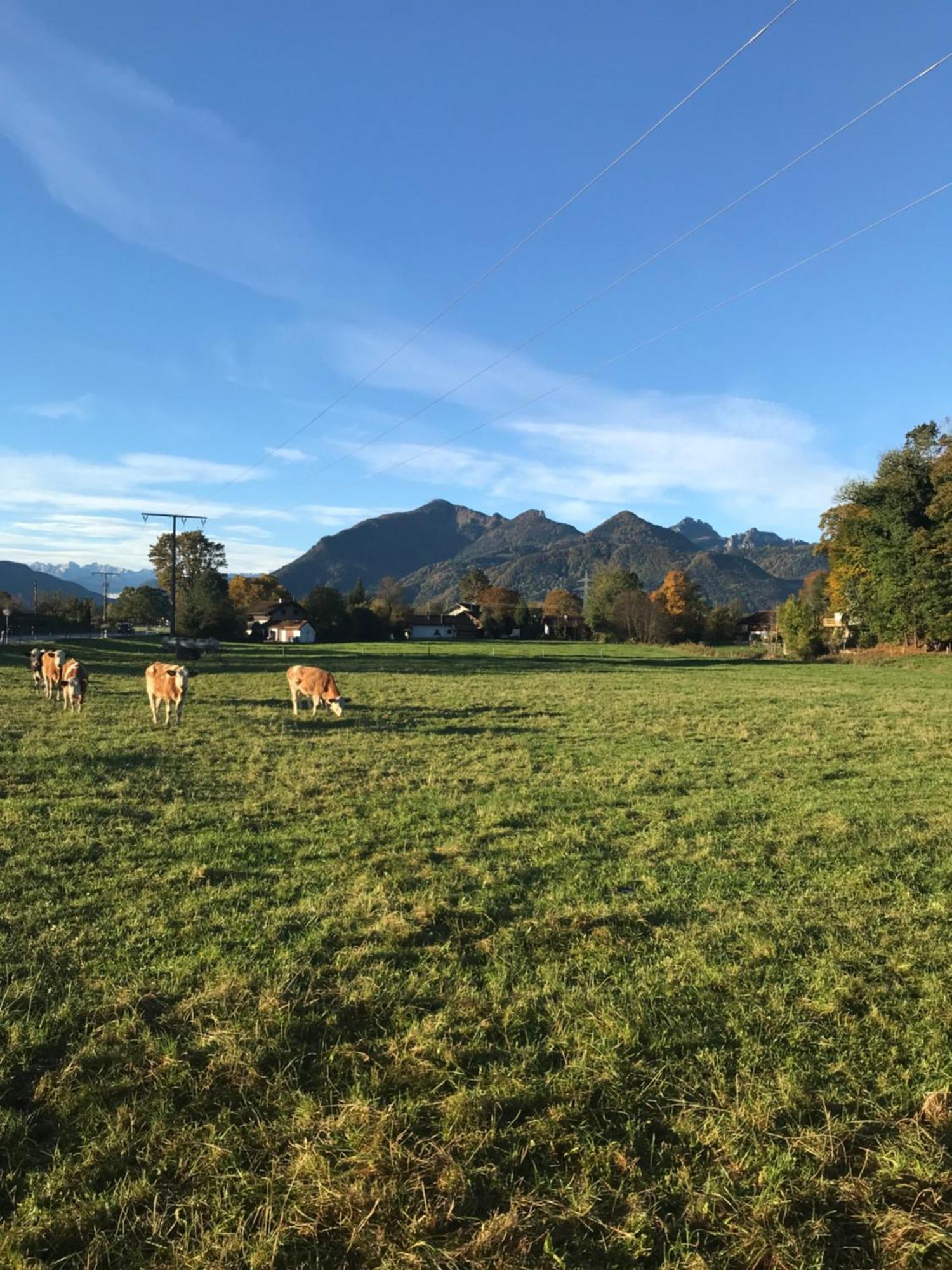 Ferienhaus Westerbuchberg Übersee Esterno foto