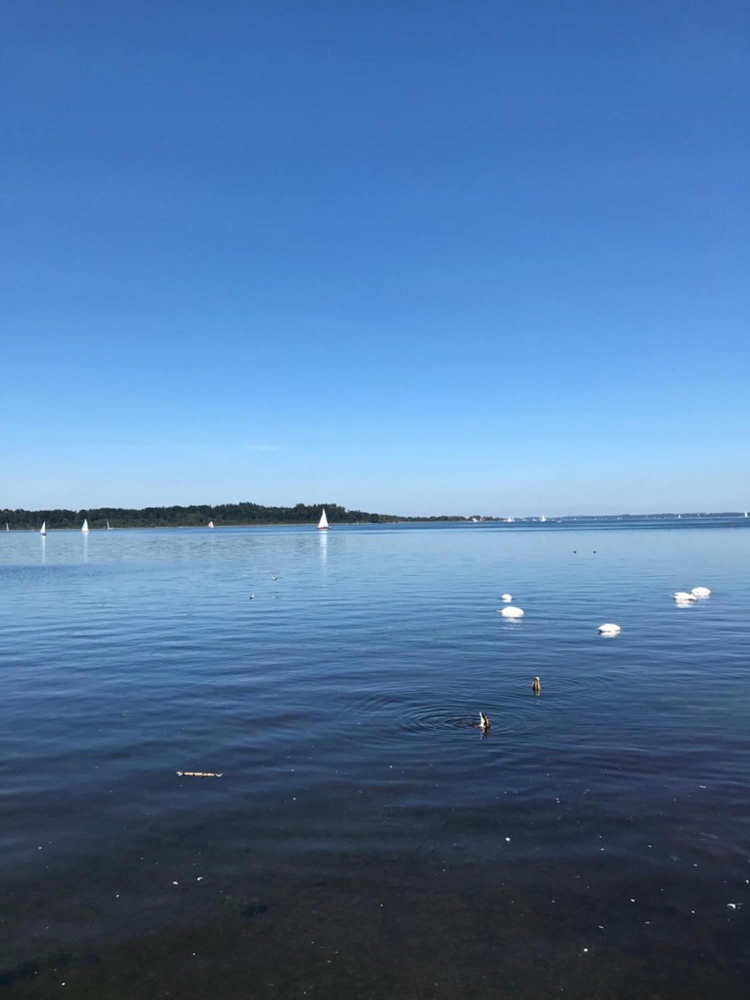Ferienhaus Westerbuchberg Übersee Esterno foto
