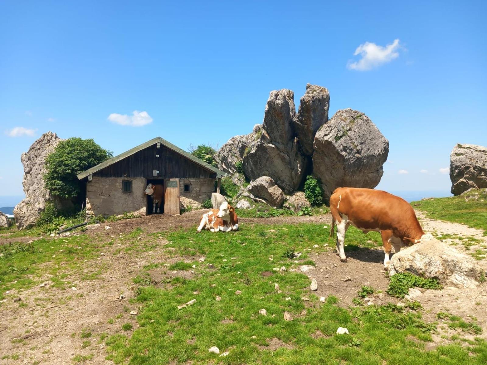 Ferienhaus Westerbuchberg Übersee Esterno foto
